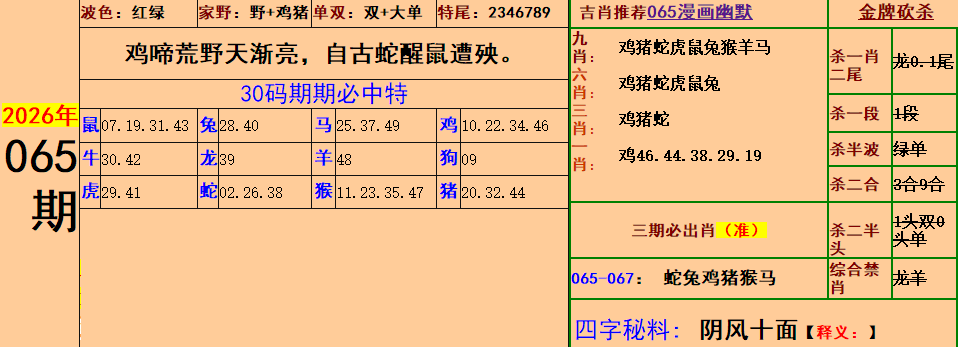 5.png