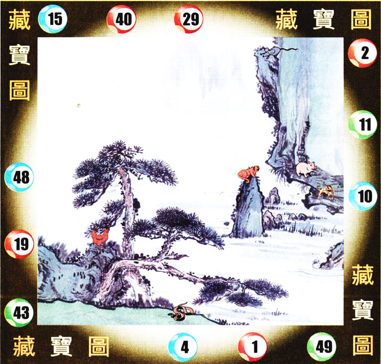 11.jpg